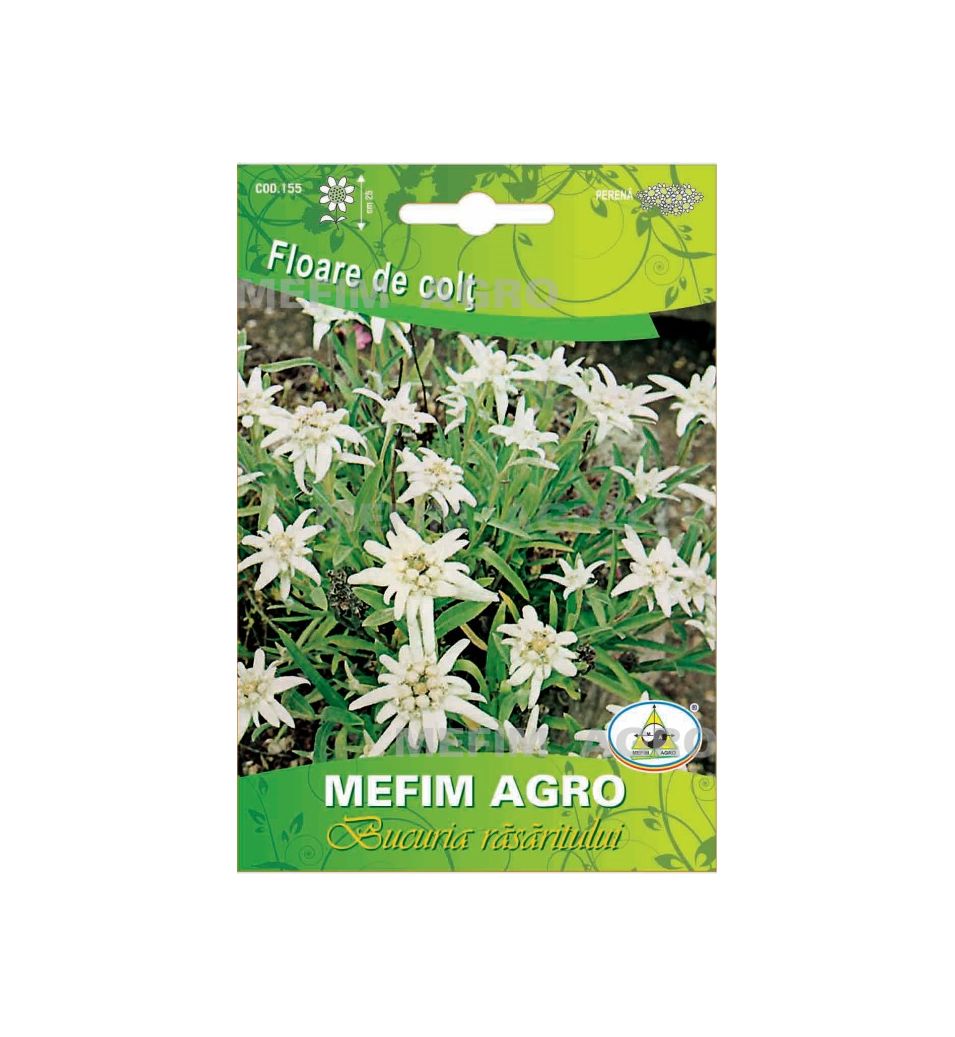 Magazin Seminte Floare De Colt 0 05 G